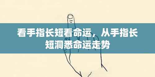 从手指长短洞悉命运走势,手相学中的秘密揭示命运长短与走势的真相