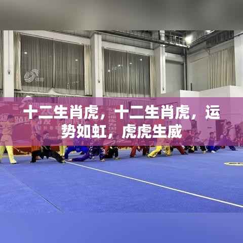 十二生肖虎运势旺盛,虎虎生威展宏图