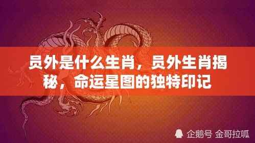 员外生肖揭秘与命运星图的独特印记