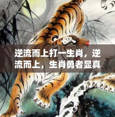 逆流而上猜生肖,勇者风采显真章
