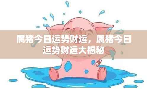 属猪今日运势财运详解,财运大揭秘