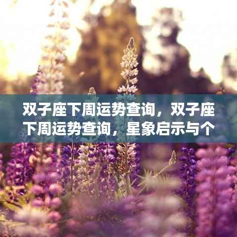双子座下周运势详解,星象启示与个性化建议一网打尽!