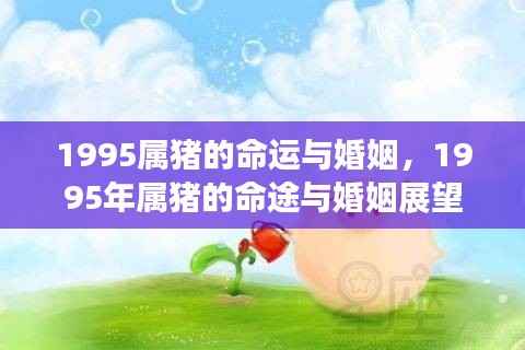 1995年属猪人的命运与婚姻展望