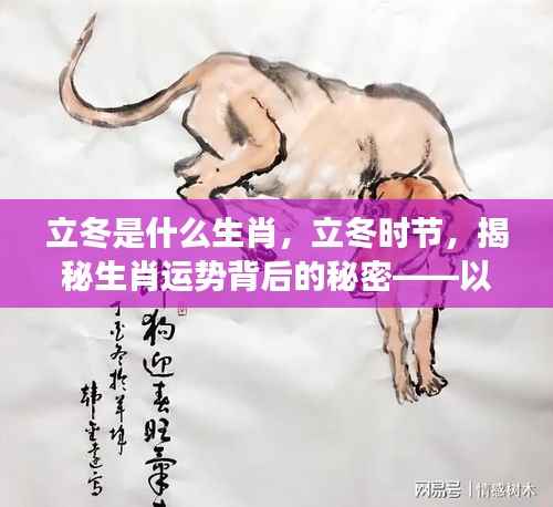 立冬生肖运势揭秘,探寻生肖寓意背后的秘密