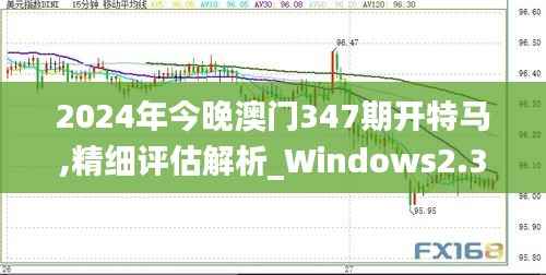 2024年今晚澳门347期开特马,精细评估解析_Windows2.307