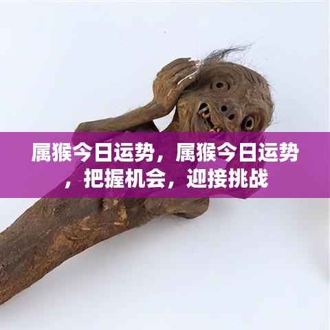 属猴今日运势揭秘,把握机遇,勇迎挑战新篇章