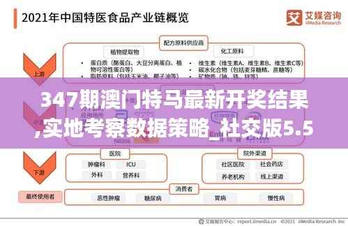 347期澳门特马最新开奖结果,实地考察数据策略_社交版5.583