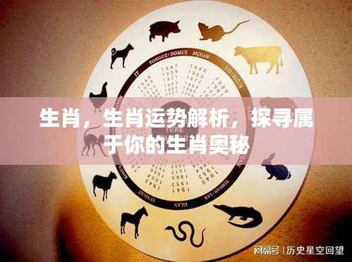 生肖奥秘深度解析,探寻属于你的生肖运势与神秘力量