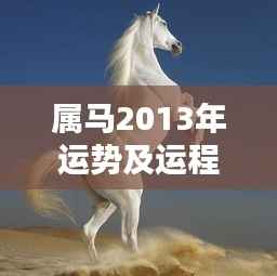 属马人2013年运势及运程概览