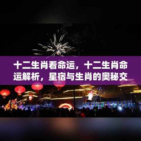 生肖命运揭秘,星宿奥秘与十二生肖的交织解析