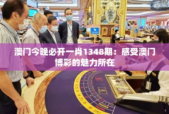 澳门今晚必开一肖1348期:感受澳门博彩的魅力所在