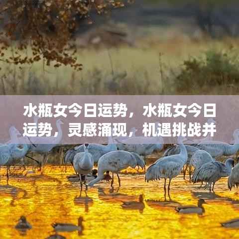 水瓶女今日运势,灵感涌现与机遇挑战并存