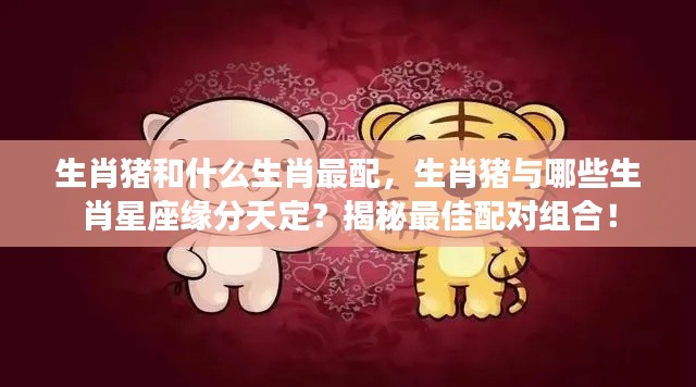 揭秘生肖猪的最佳配对组合,与哪些生肖星座缘分天定?