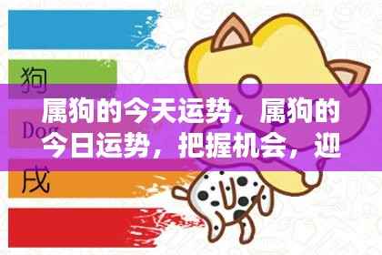 属狗的今日运势展望,把握机遇,迎接挑战