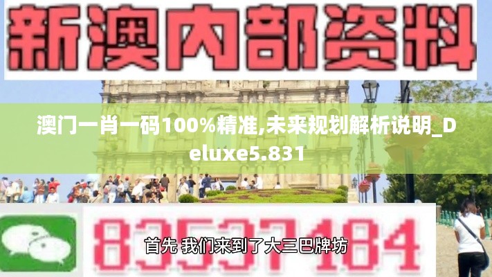澳门一肖一码100%精准,未来规划解析说明_Deluxe5.831