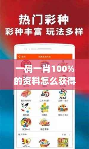 一码一肖100%的资料怎么获得,最新核心解答落实_复古款10.390