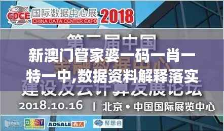 新澳门管家婆一码一肖一特一中,数据资料解释落实_KP4.893