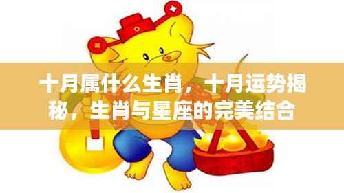 十月生肖运势揭秘,生肖与星座的完美融合