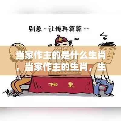 揭秘当家作主的生肖,领导力与家庭运势的洞察之道