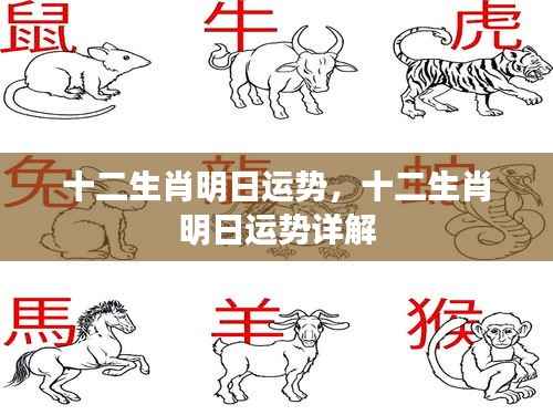 十二生肖明日运势预测,明日运势详解版