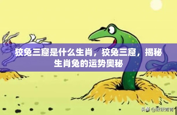 狡兔三窟,生肖兔的运势奥秘揭秘