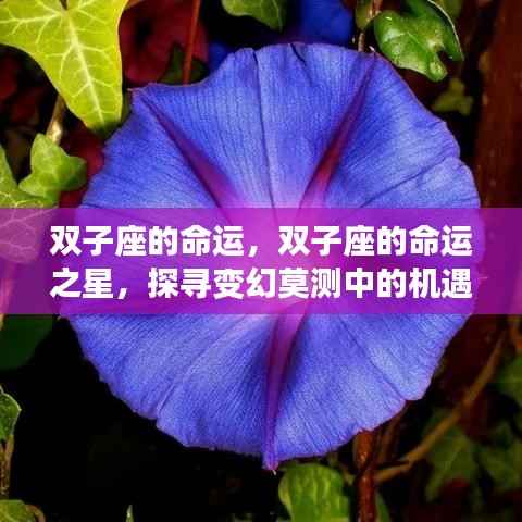 双子座命运之谜,机遇与挑战并存于变幻莫测的星空中