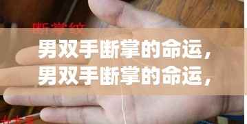 男双手断掌的命运,星象指引下的独特人生轨迹探索