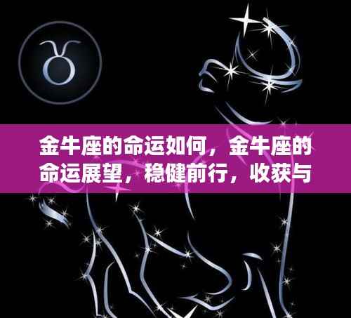 金牛座的稳健前行,命运展望与成长收获并重的旅程