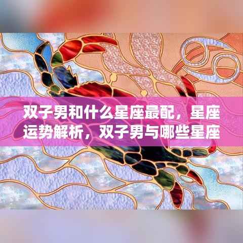双子男星座配对解析,最佳星座组合与星座运势展望