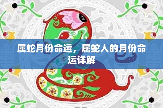 属蛇人的月份命运详解与解析