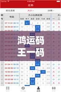 鸿运码王一码三肖:探索彩票预测的神秘面纱与现实意义