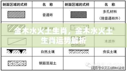 金木水火土生肖运势解析与特点概览