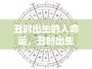 丑时出生的人命运详解与解析