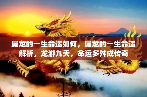 属龙命运解析,龙游九天,命运传奇多舛路