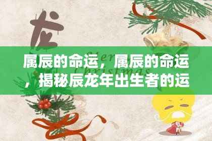 揭秘辰龙年出生者的命运走向与运势特点