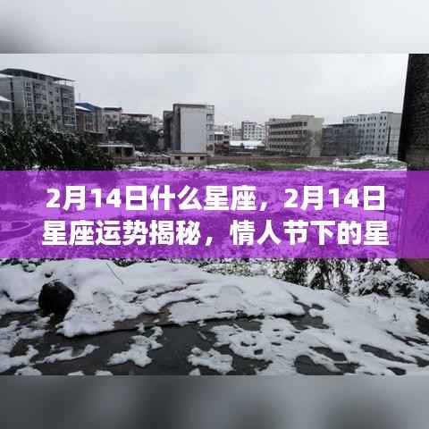 情人节下的星座运势揭秘,2月14日星座光环与星座运势展望