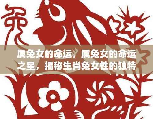 属兔女性的命运之星,揭秘独特人生轨迹