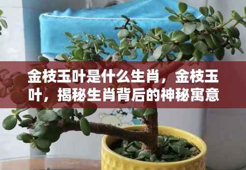 刺股读书 第6页