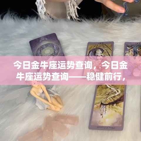 今日金牛座运势解析,稳健前行,展现独特魅力