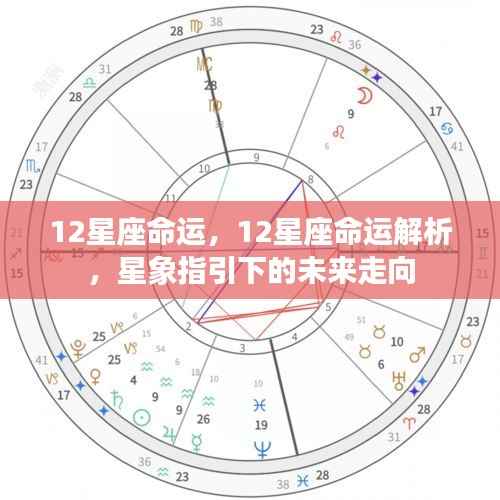 星象指引下的未来走向,揭秘十二星座的命运解析