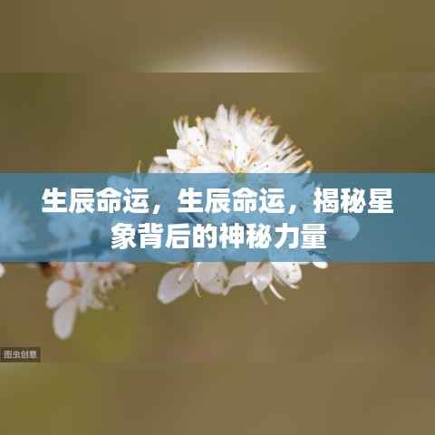 揭秘生辰命运与星象的神秘关联,探寻星象背后的力量影响命运轨迹