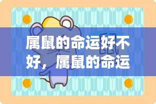属鼠命运深度解析,生肖鼠的运势走向探讨与解读