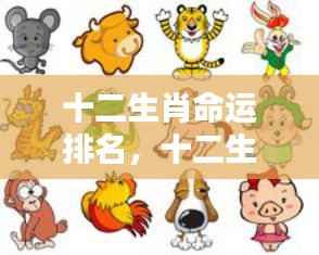 省吃俭用 第5页