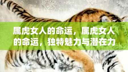 属虎女人的命运,独特魅力与潜在力量揭秘
