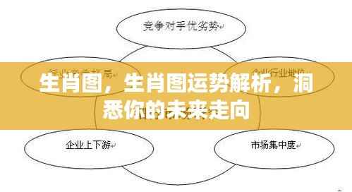 生肖图运势解析,洞悉未来走向,掌握命运之舵