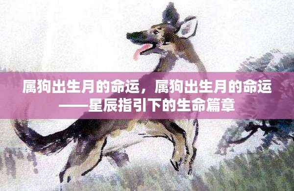属狗出生月的命运,星辰指引下的生命轨迹