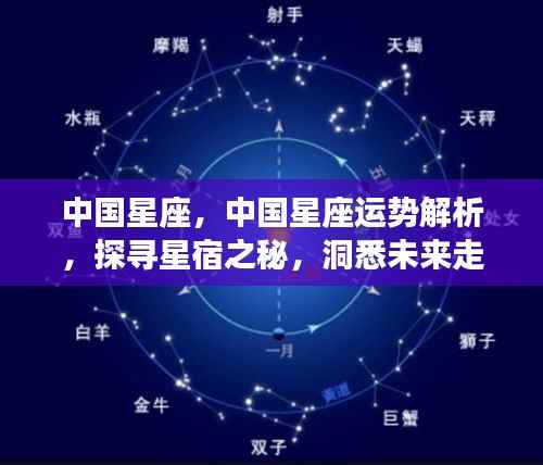 中国星座运势解析,探寻星宿奥秘,洞悉未来走向
