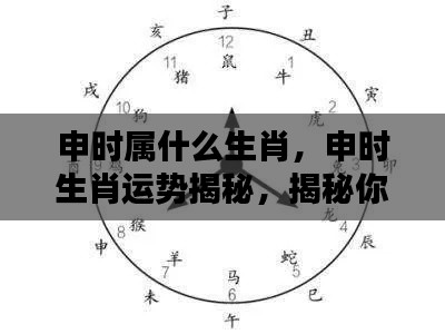 申时生肖运势揭秘,揭秘你的未来走向与运势走向