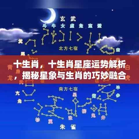 揭秘生肖星座运势,星象与生肖的巧妙融合解析