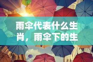 雨伞下的生肖守护,揭秘生肖与天气的神秘关联